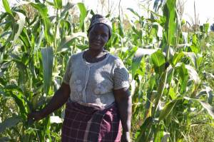mozambican-smallholder-farmer-who-has-tried-hybrid-maize-on-her-plot_1000x666